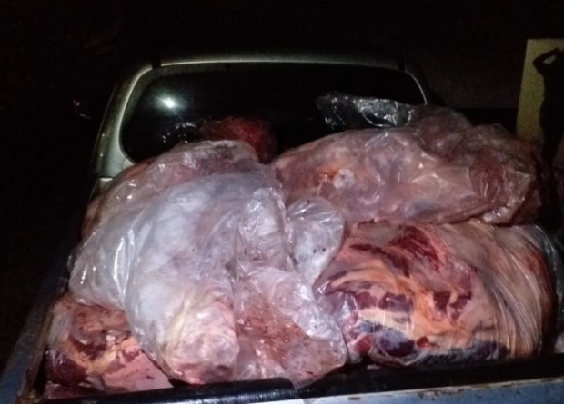 Hillux com 800 kg de carne bovina transportada de forma irregular  apreendida